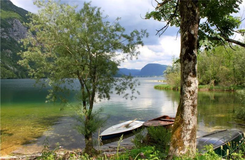 Lake Bohinj