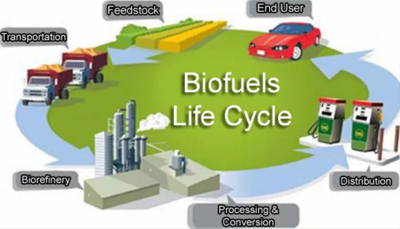 Vegetable Oils for Power Generation