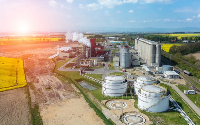 Vegetable Oils for Power Generation